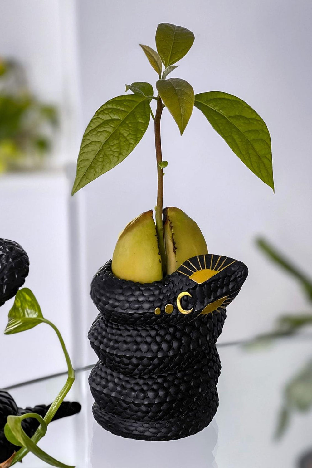 Homeware Tableware | Killstar Serpentina Bud Vase