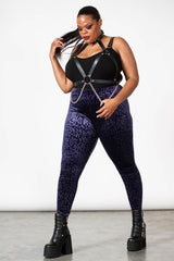 Women Going Out | Killstar Caturday Leggings [PLUM]